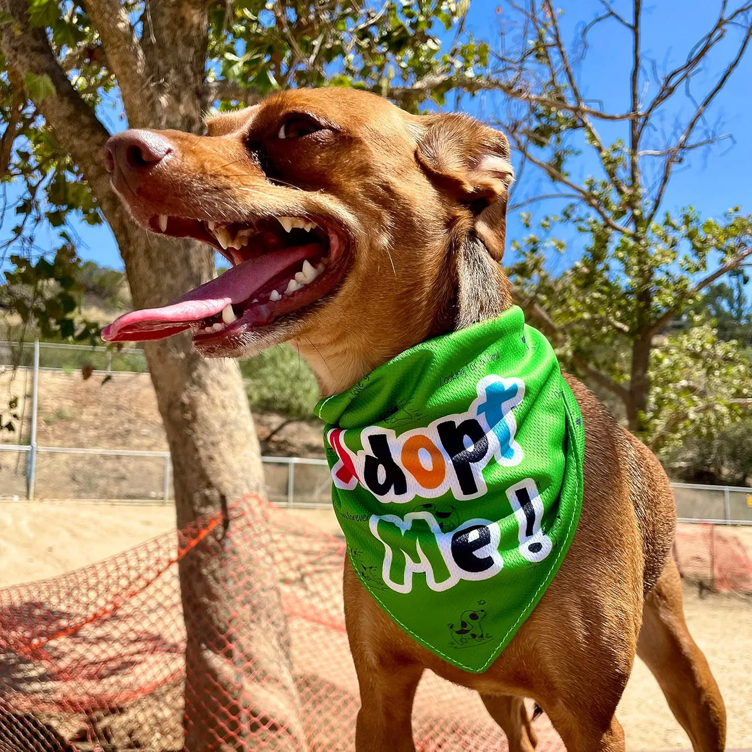 Adopt Me Dog Bandana - Puppy Bandanas with Sweet Sayings and Eye-Catching Solid Colors - Giving Back to Pets in Need - Green Bandanas for Dogs - Large/X-Large