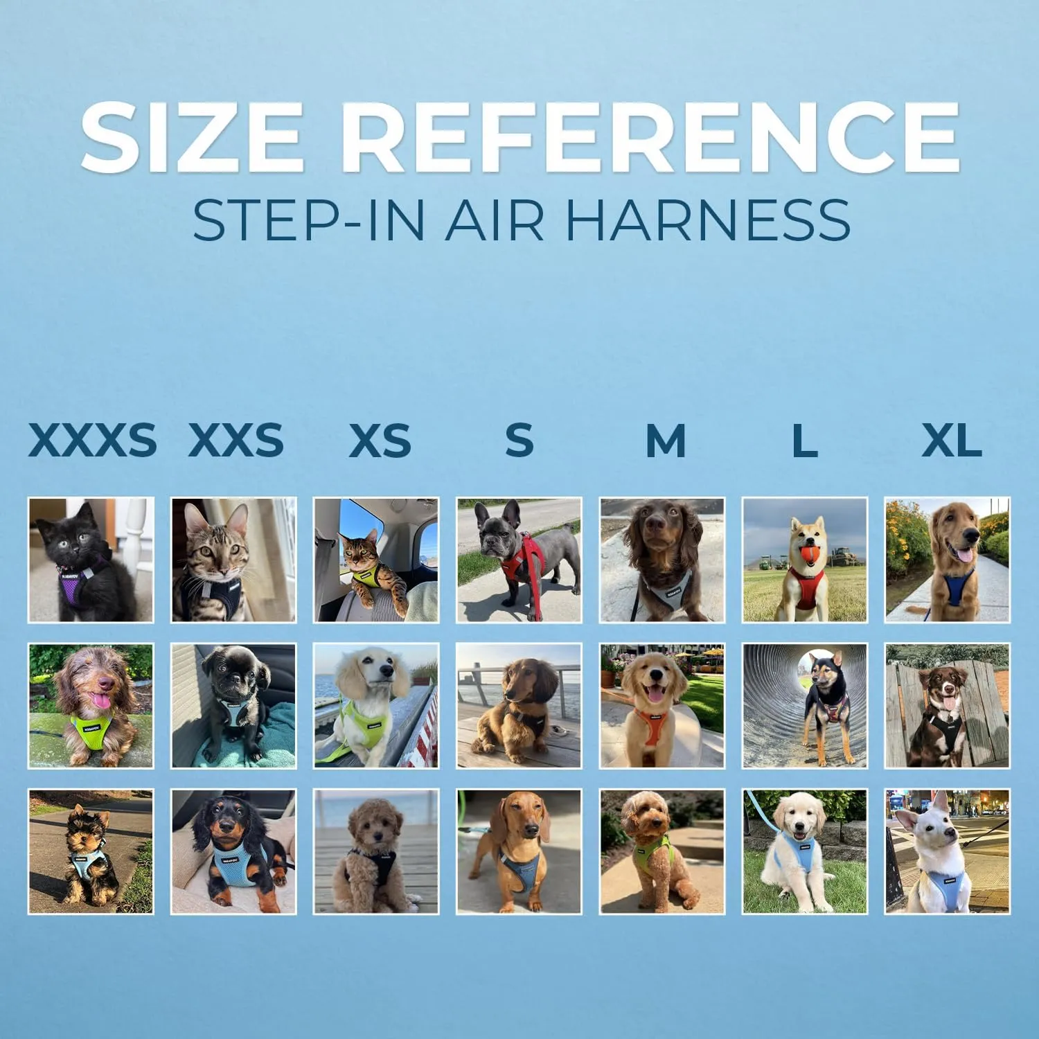 Best Pet Supplies - All Weather Mesh, Reflective, No Pull Harness for Small, Medium Dogs, Cats - Secure with Hook & Loop Fastener, Buckle, Double D-Rings - Turquoise 2-Tone, M