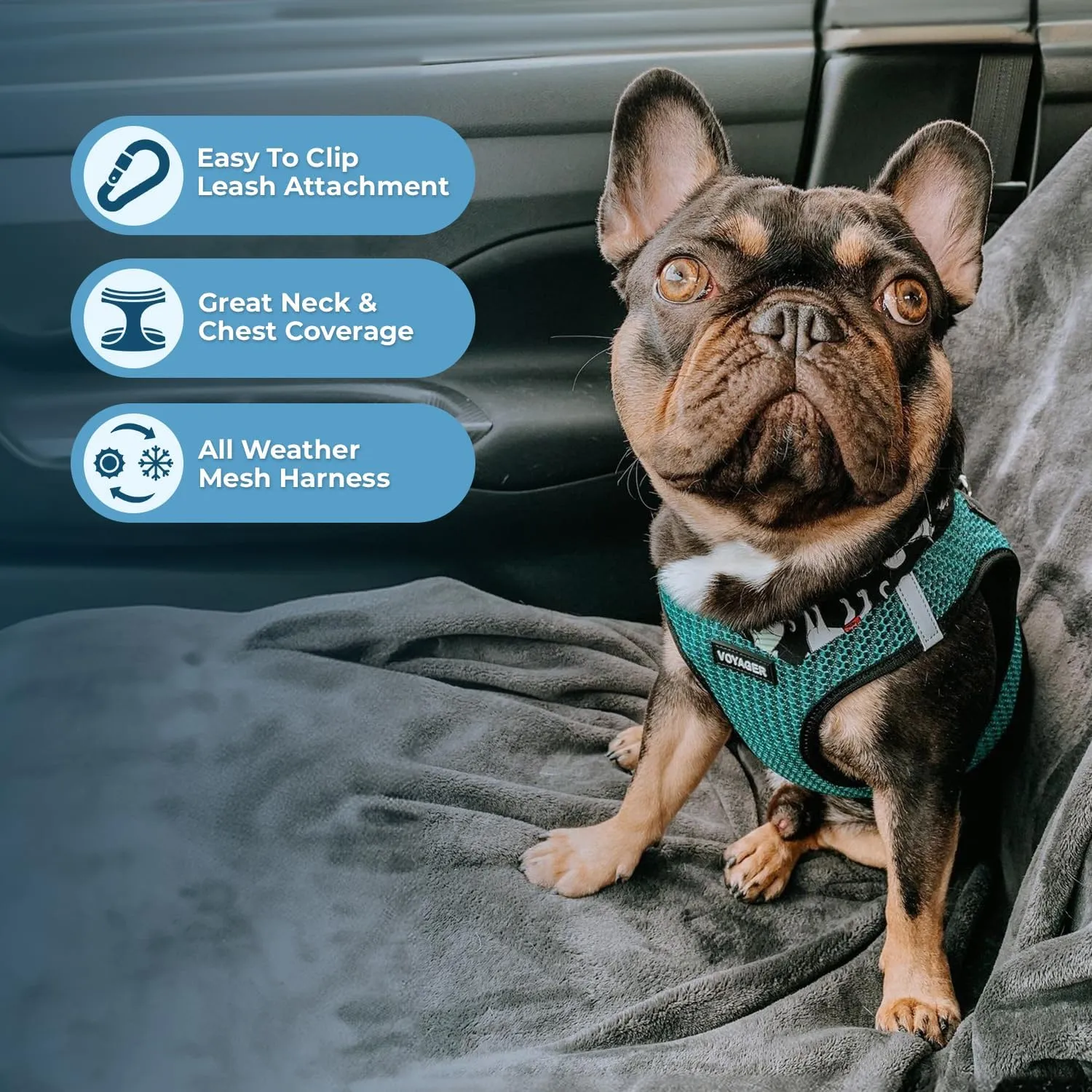 Best Pet Supplies - All Weather Mesh, Reflective, No Pull Harness for Small, Medium Dogs, Cats - Secure with Hook & Loop Fastener, Buckle, Double D-Rings - Turquoise 2-Tone, M