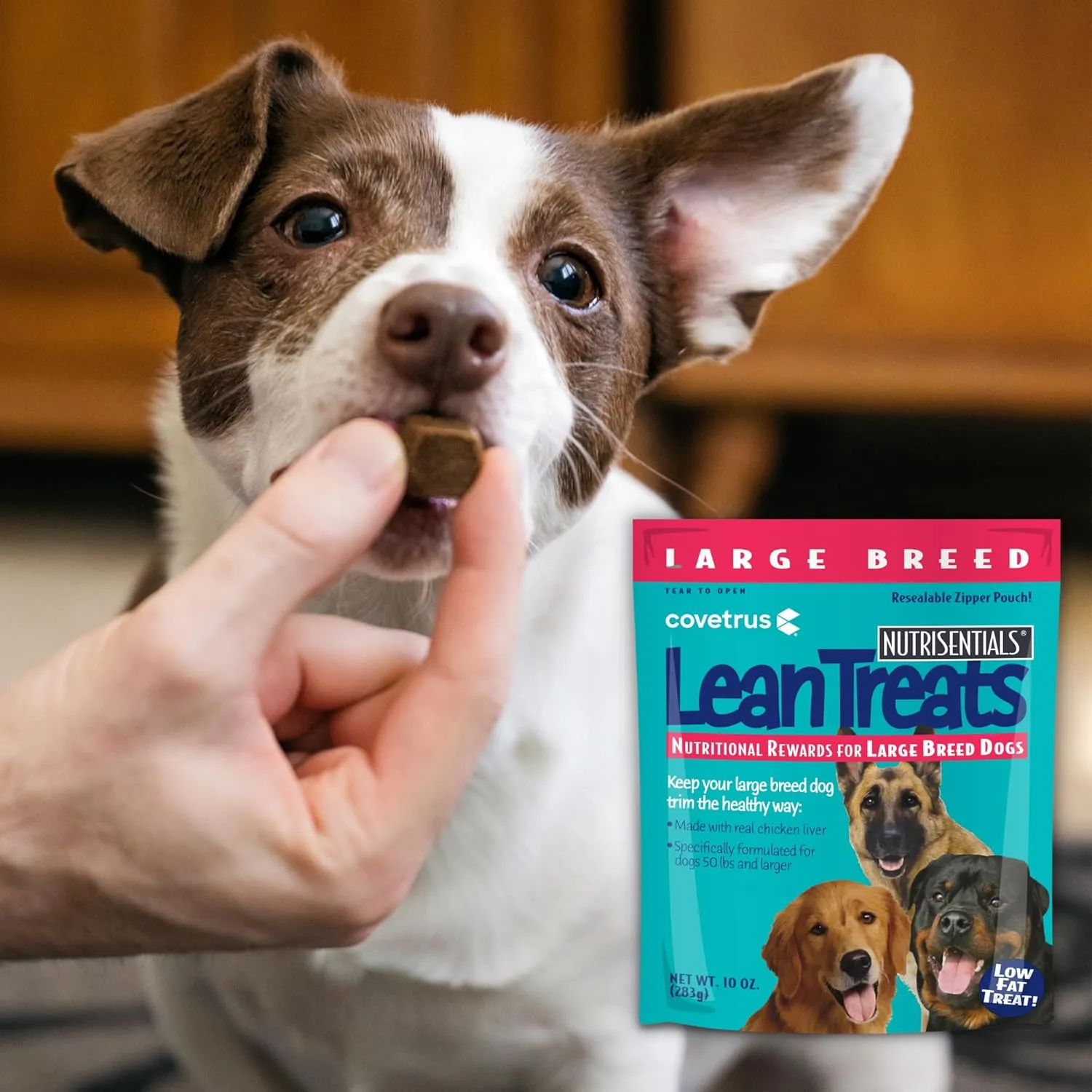 Butler Lean Treats Nutritional Rewards For Large Dogs (1 Pack), 10 Oz/Large
