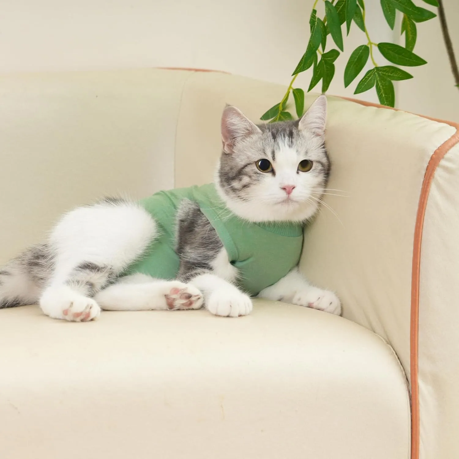 Cat Surgery Recovery Suit Professional for Surgical Abdominal Wound Or Skin Diseases E-Collar Alternative for Cats After Surgery Wear Pajama Suit (Green, Small)