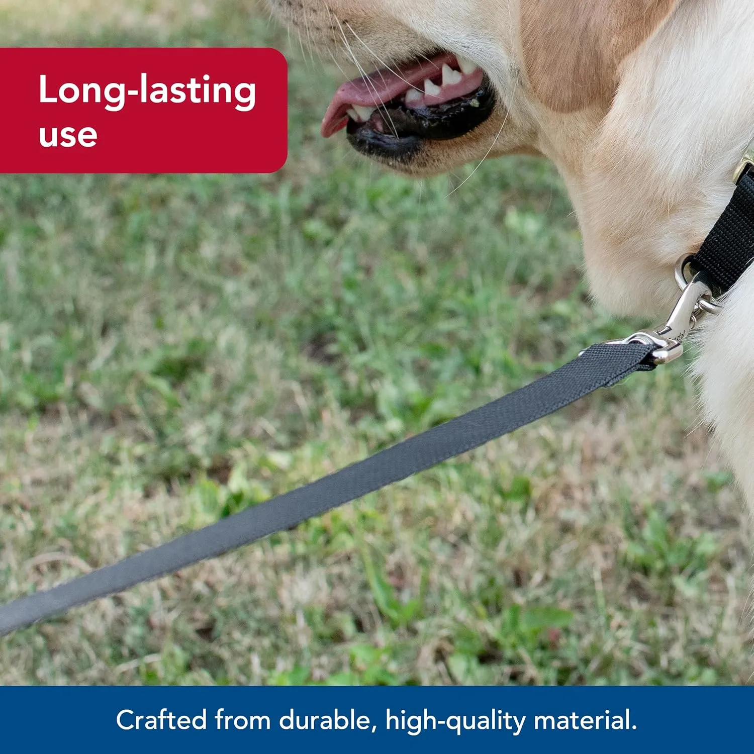 Coastal Pet Single-Ply Dog Leash - Sturdy Pet Leash - Comfortable & Stylish - Resists Fraying - Vibrant & Fade-Resistant Color - Black, 3/4" x 6'