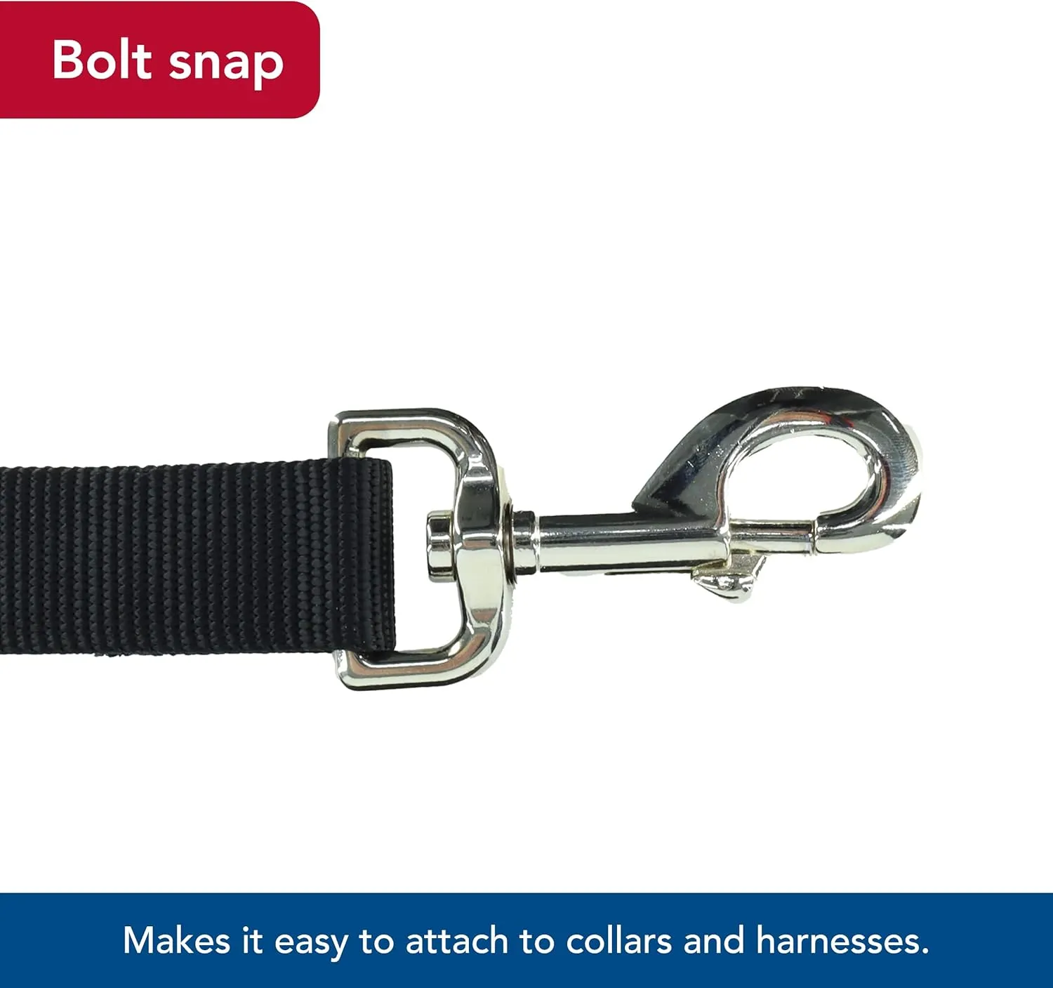 Coastal Pet Single-Ply Dog Leash - Sturdy Pet Leash - Comfortable & Stylish - Resists Fraying - Vibrant & Fade-Resistant Color - Black, 3/4" x 6'