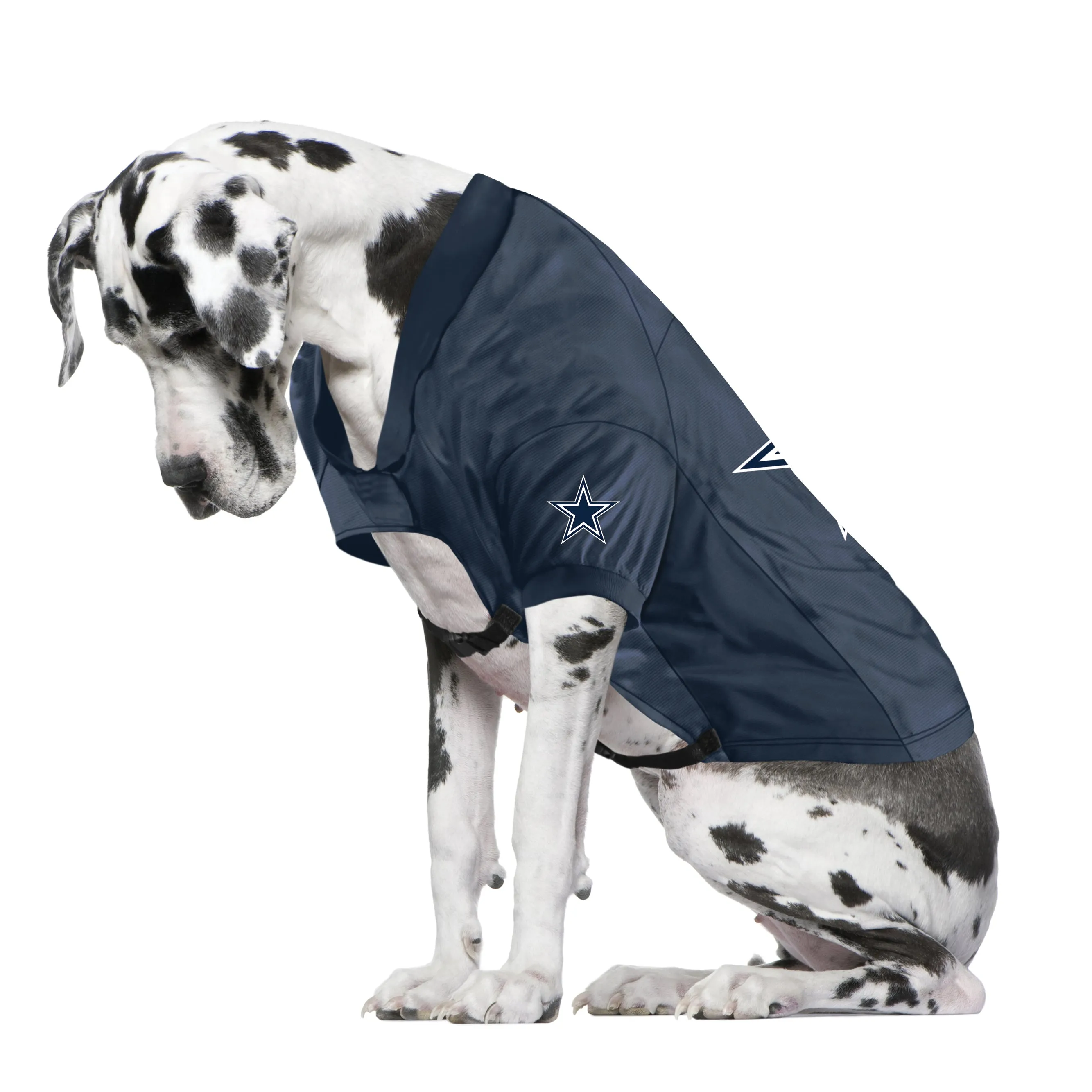 Dallas Cowboys Big Custom Pet Stretch Jersey