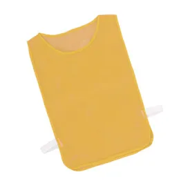 DELUXE MESH PINNIE ADULT GOLD
