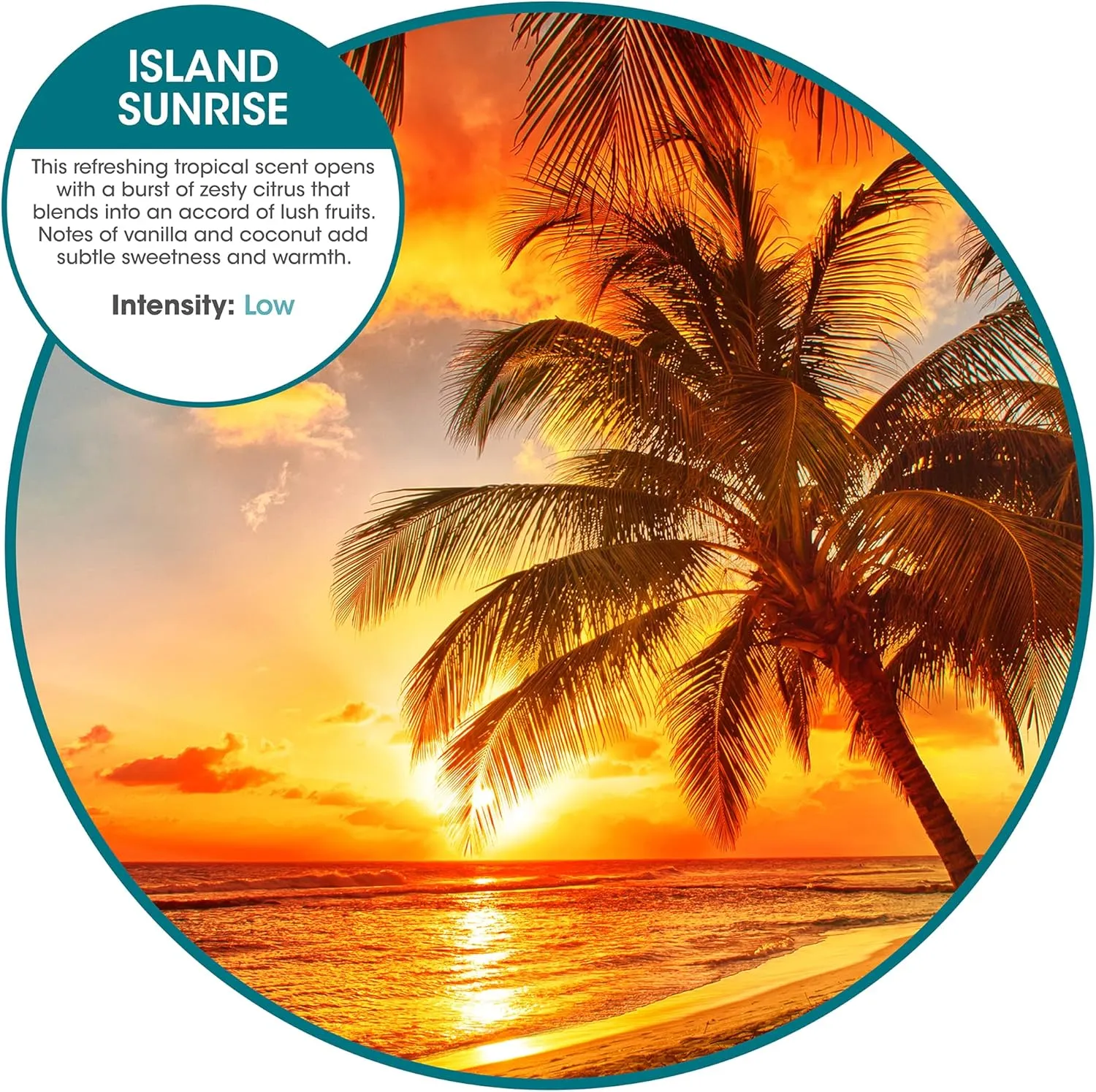 Fresh Products ourfreshe Plug In  30 , Spaces Island Sunrise 6 
