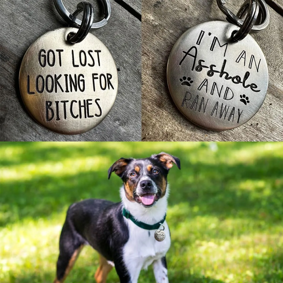 Funny Dog Tag, Stainless Steel Pet Tag, Personalized Got Lost Dog Collar Tag Puppy Tag Pet ID Tag, Pet Cat & Dog Collar Charm Gift for Dog Cats Owner Dog Lover (Got lost)