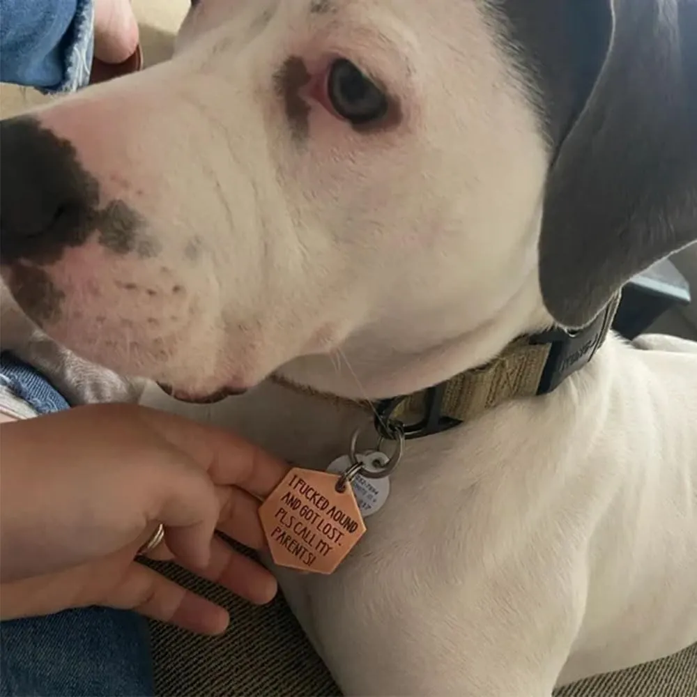 Funny Dog Tag, Stainless Steel Pet Tag, Personalized Got Lost Dog Collar Tag Puppy Tag Pet ID Tag, Pet Cat & Dog Collar Charm Gift for Dog Cats Owner Dog Lover (Got lost)