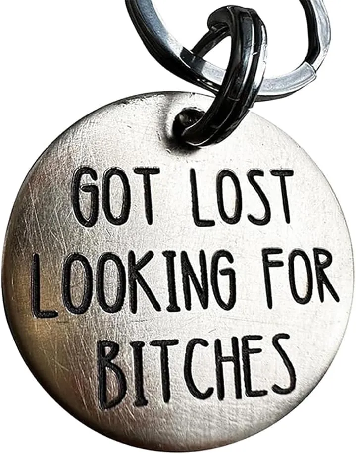 Funny Dog Tag, Stainless Steel Pet Tag, Personalized Got Lost Dog Collar Tag Puppy Tag Pet ID Tag, Pet Cat & Dog Collar Charm Gift for Dog Cats Owner Dog Lover (Got lost)