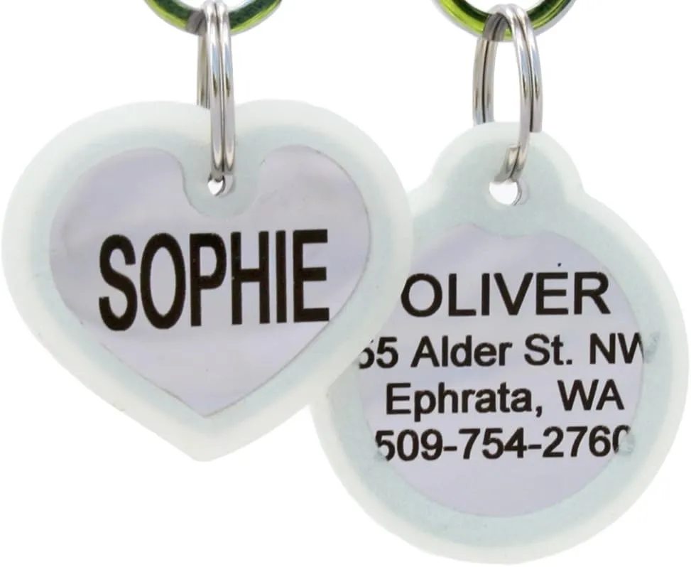 GoTags Personalized Dog Tags in Stainless Steel, Includes Glow in The Dark Tag Silencer to Reduce Noise and Protect Tag and Engraving, No Noise, Quiet Pet Tags, 2 Side Engraving, (Bone Shape)