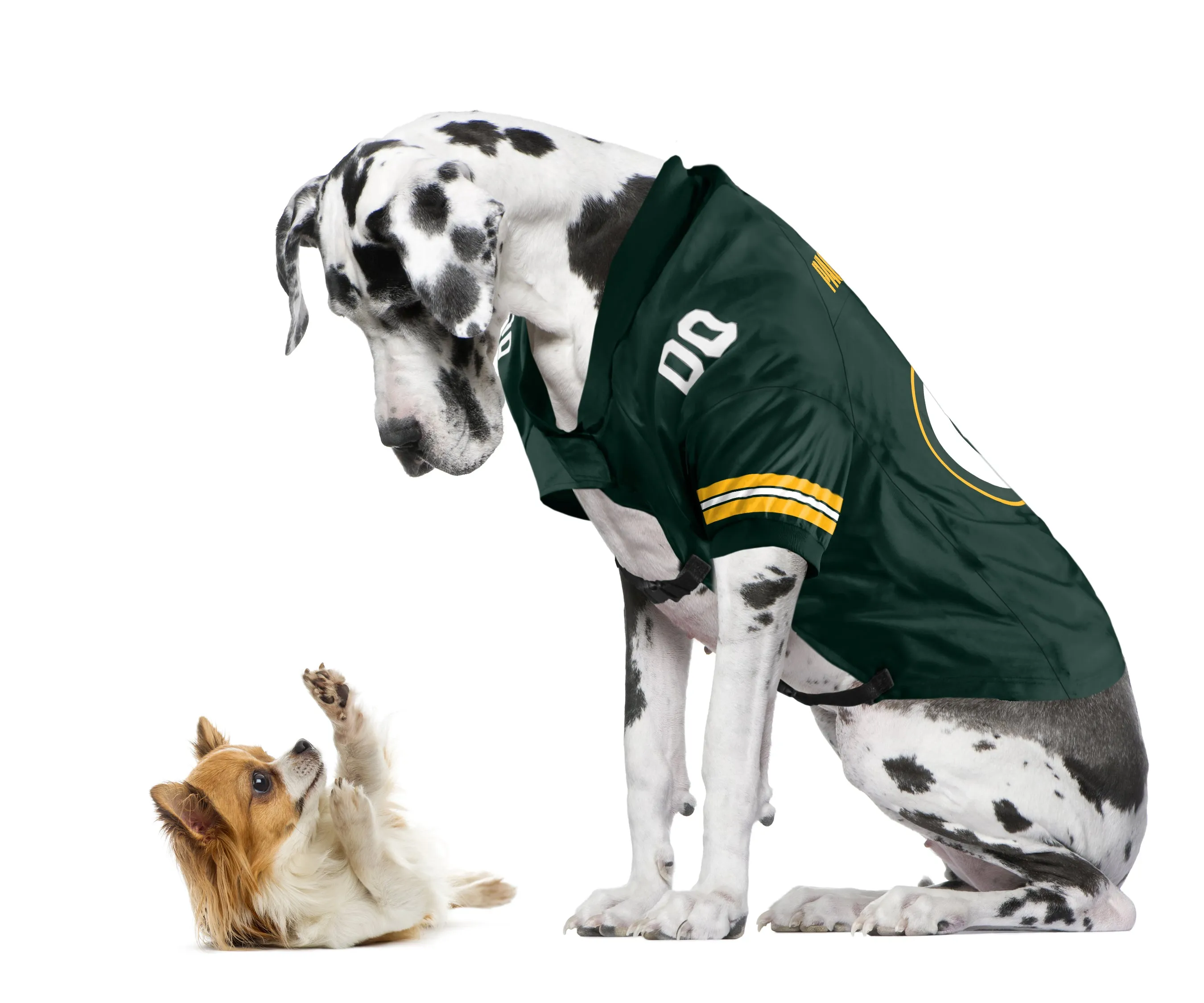 Green Bay Packers Big Pet Premium Jersey