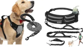 Grey Hands Free Dog Leash & No-Pull Harness Combo for Medium to Large Dogs | Reflective, Adjustable, Multifunctional