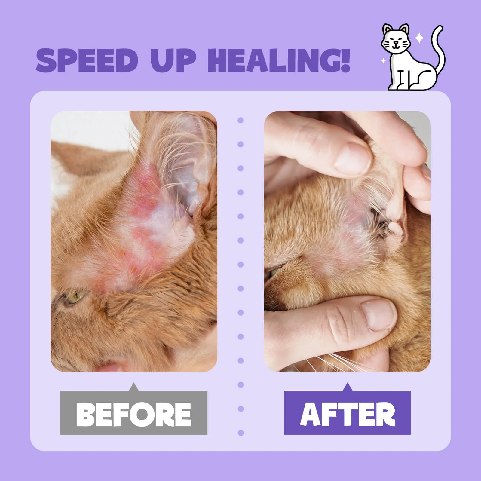 HICC Pet® Pet Skin Care Spray For Cats, 3.4 Fl Oz