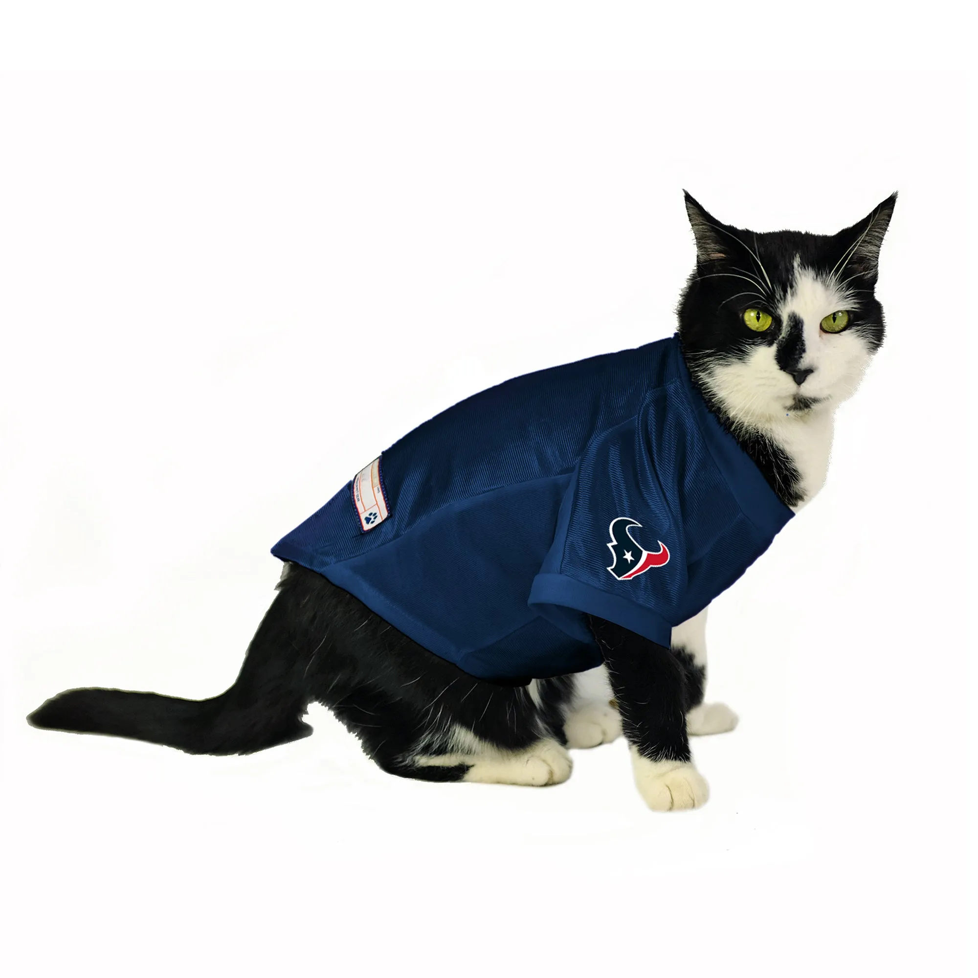 Houston Texans Custom Pet Stretch Jersey