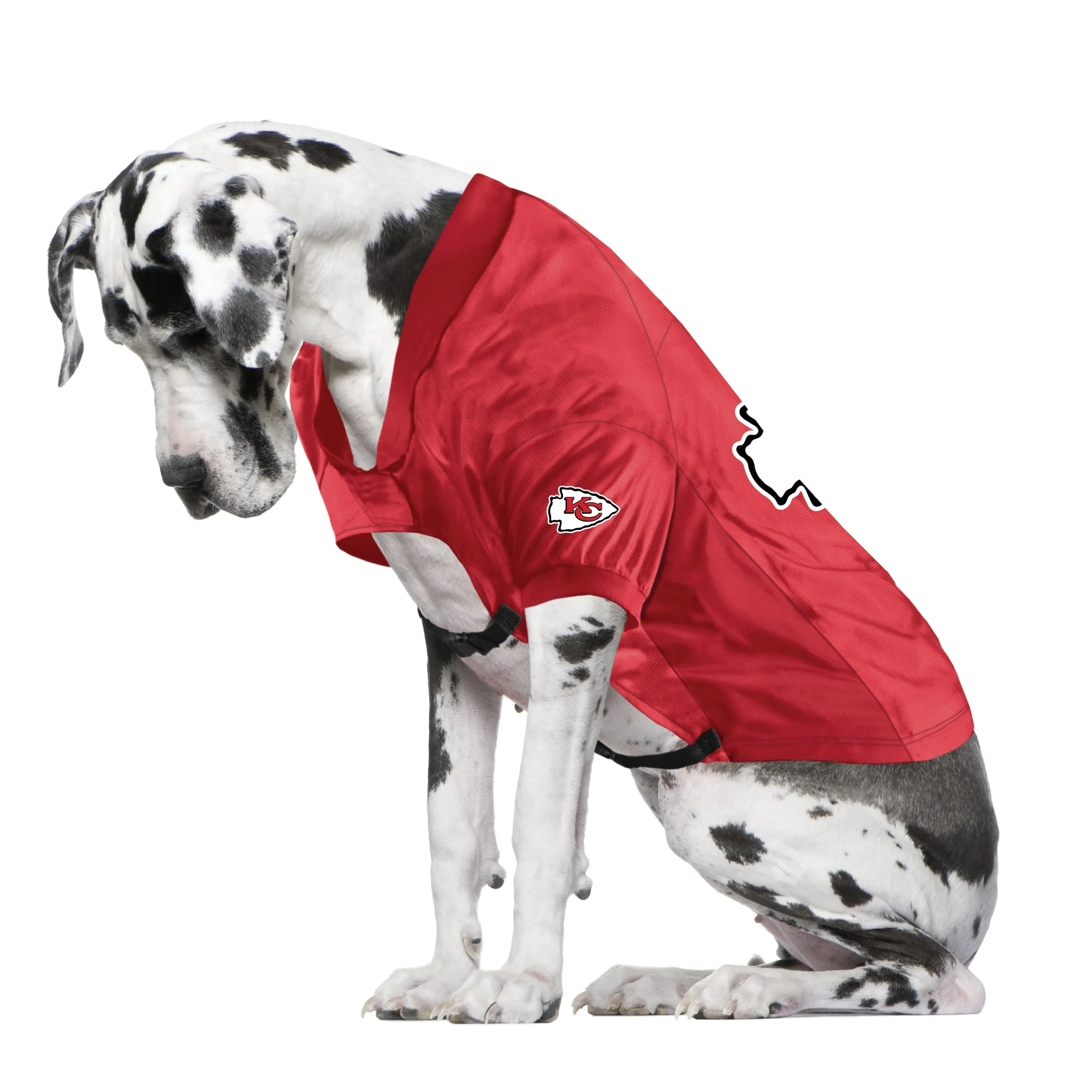 Kansas City Chiefs Big Custom Pet Stretch Jersey