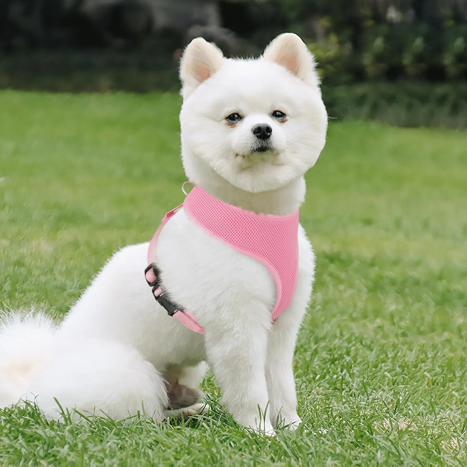 Magshion Dog Vest Harness with Adjustable Chest for Large Dog, Breathable Mesh Padded Pet Harness with with Buckles & Back D-Rings, Pet Supplies for Walking Training, No Pull No Choke, Pink, L