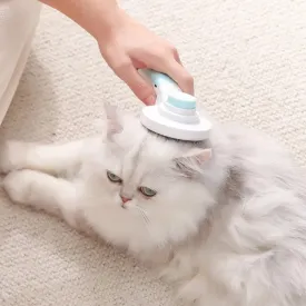 Multifunctional 2 in 1 Pet Comb   Nail Grinder