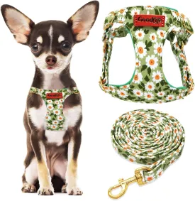 OaaXbbECco No Pull Floral Pattern Puppy Harness,Soft Adjustable Dog Harness Vest and Dog Leash Set No Choke Escape Proof (Green Daisy, XXS)