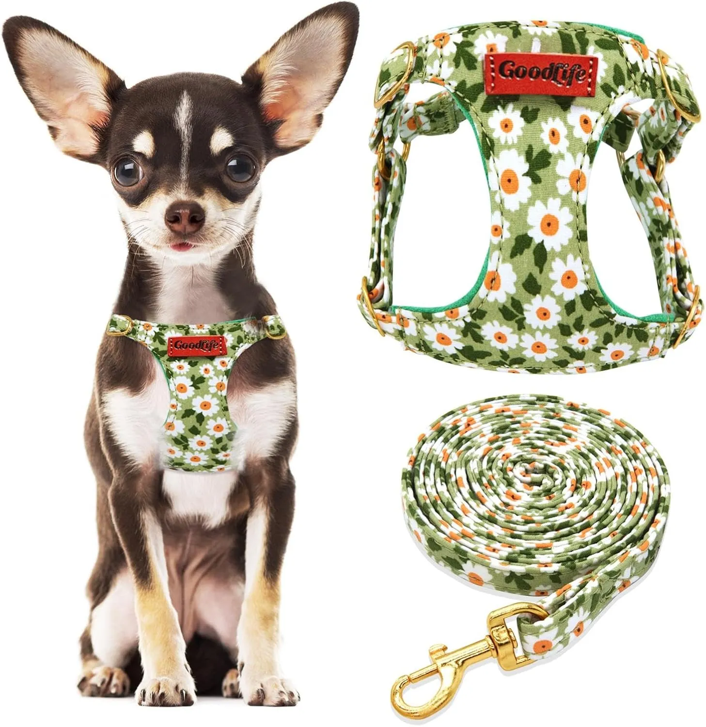 OaaXbbECco No Pull Floral Pattern Puppy Harness,Soft Adjustable Dog Harness Vest and Dog Leash Set No Choke Escape Proof (Green Daisy, XXS)