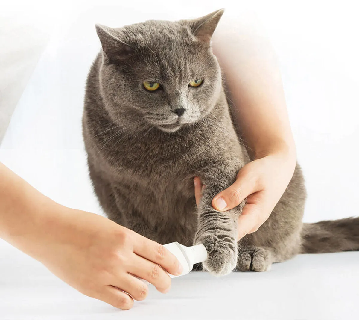 Pawbby Electric Pet Nail Grinder