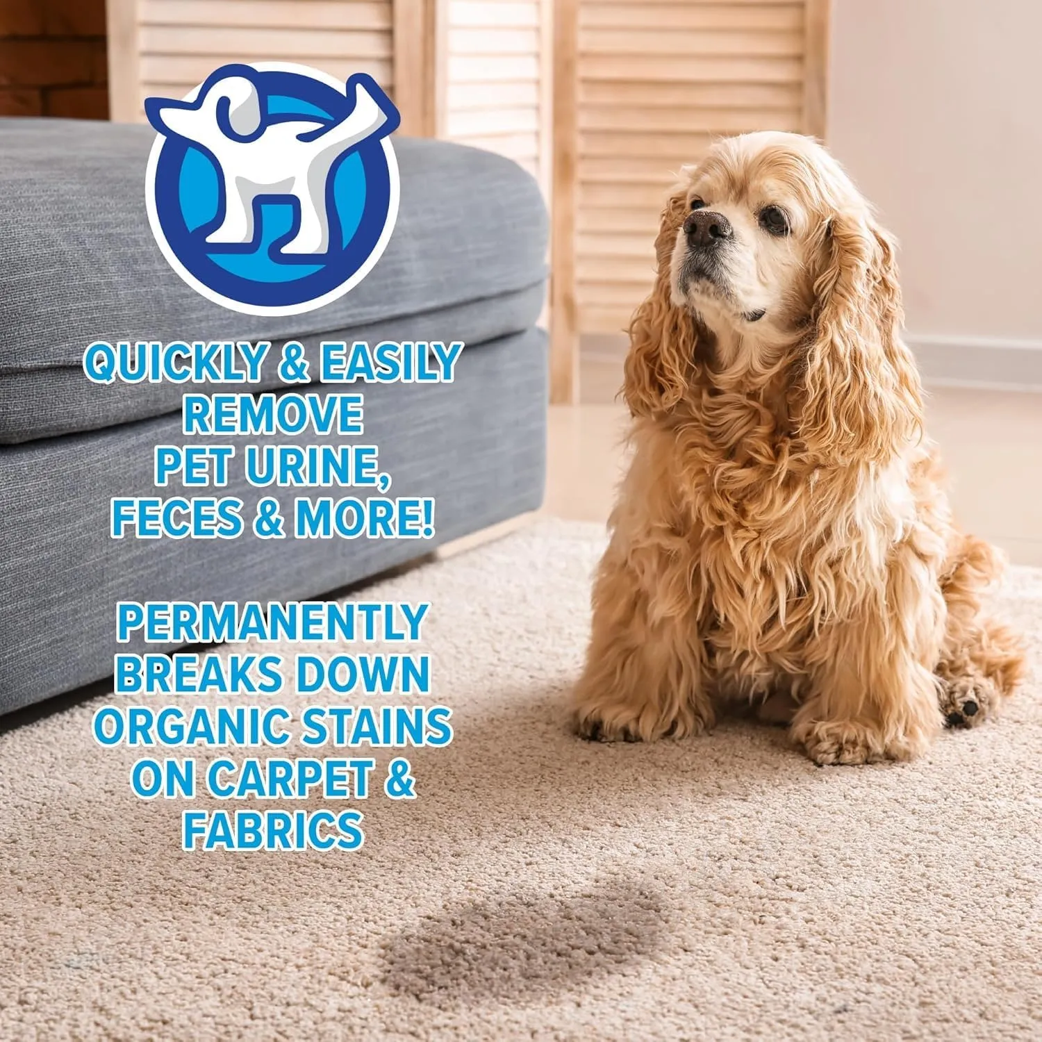 peepatrol Pet Stain   Odor Eliminator - 32 oz Spray Bottle - Professional Strength Advanced Formula Tackles Biological Messes on Fabric, Carpet, and More