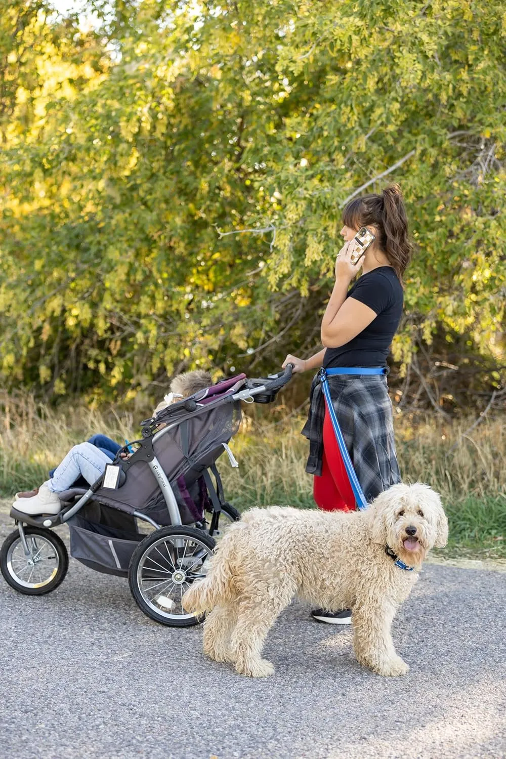 Pet Products Hands Free Dog Leash, Around The Waist, Crossbody, Solid Handle, Heavy Duty, (Blue)