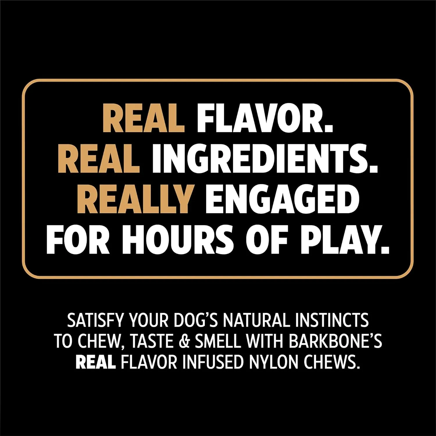 Pet Qwerks Flavorit BarkBone - Fillable Dog Bone for Moderate Chewers - Mesquite Chicken Flavor - 5.5"