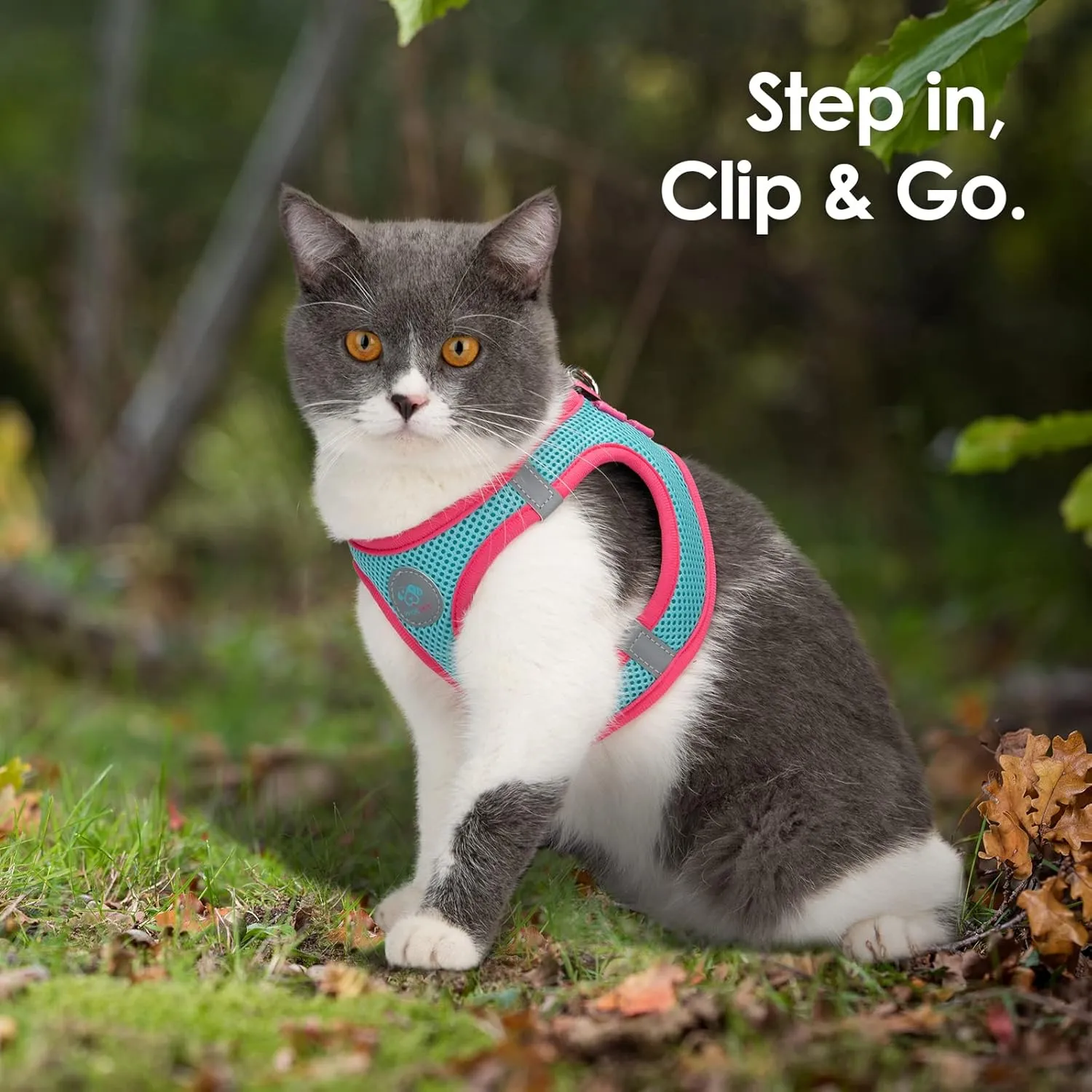 PHOEPET Step-in Dog Harness,Reflective Adjustable Dog Vest Harness, Soft Pet Walking Jacket with 2 Metal Leash Hooks for Dog and Cat(Mint Green Base & Pink Straps,M)