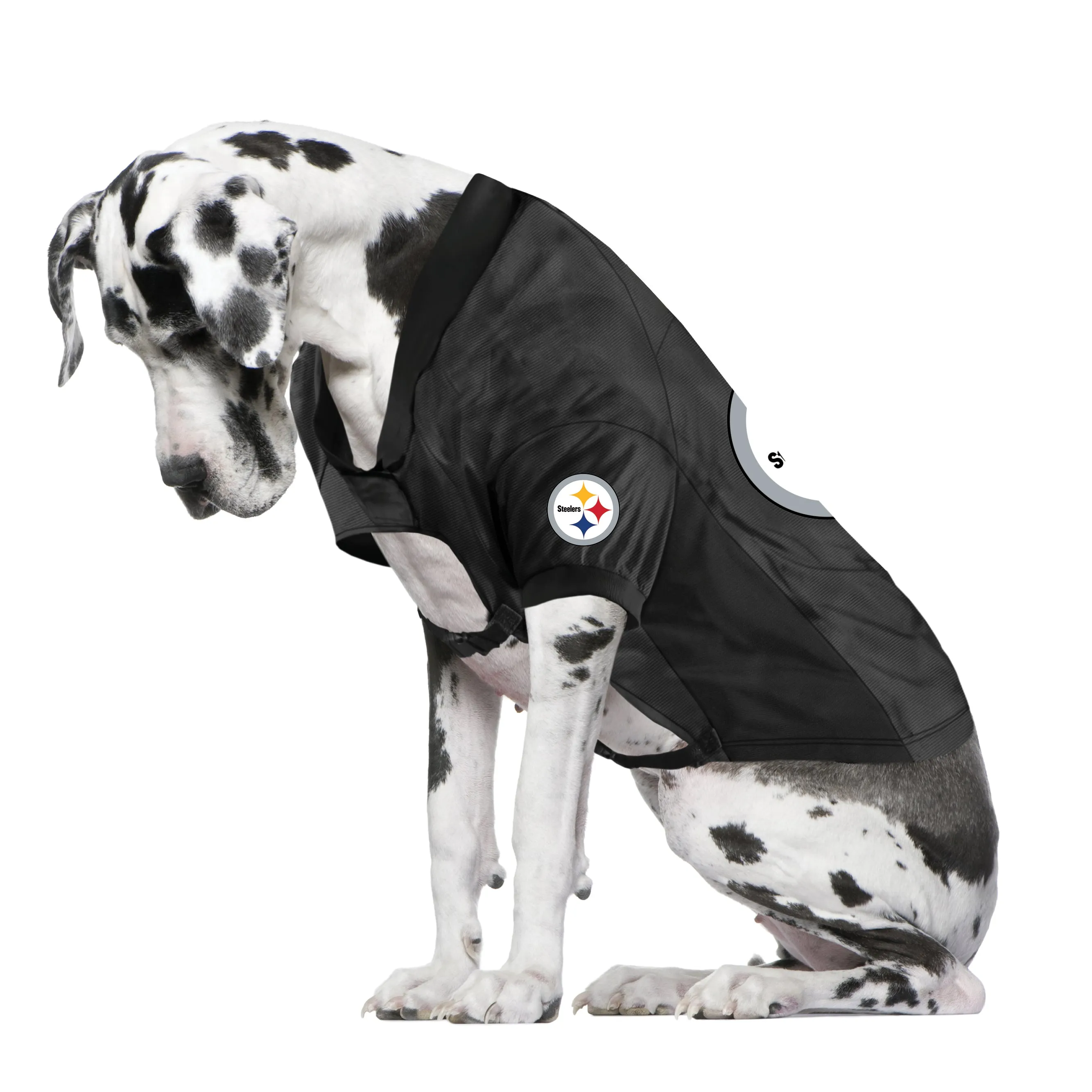 Pittsburgh Steelers Big Custom Pet Stretch Jersey