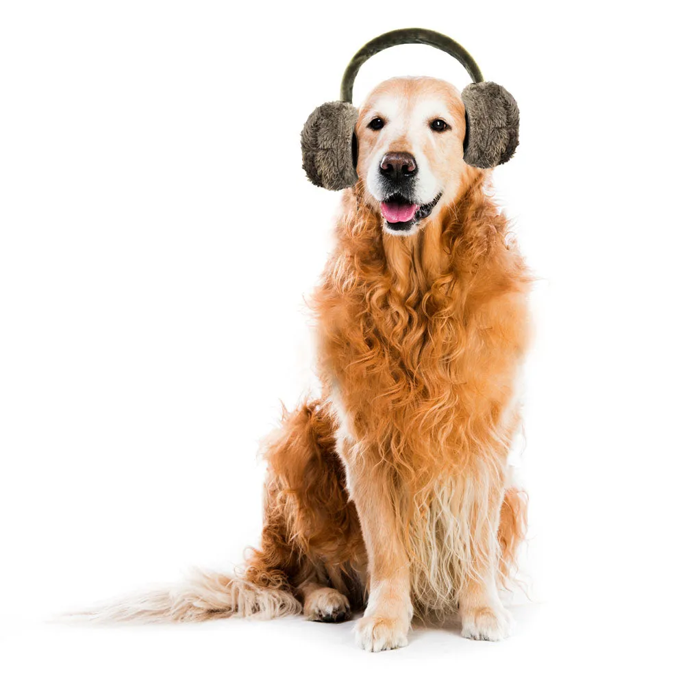 Protective Ear Muff