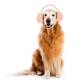 Protective Ear Muff