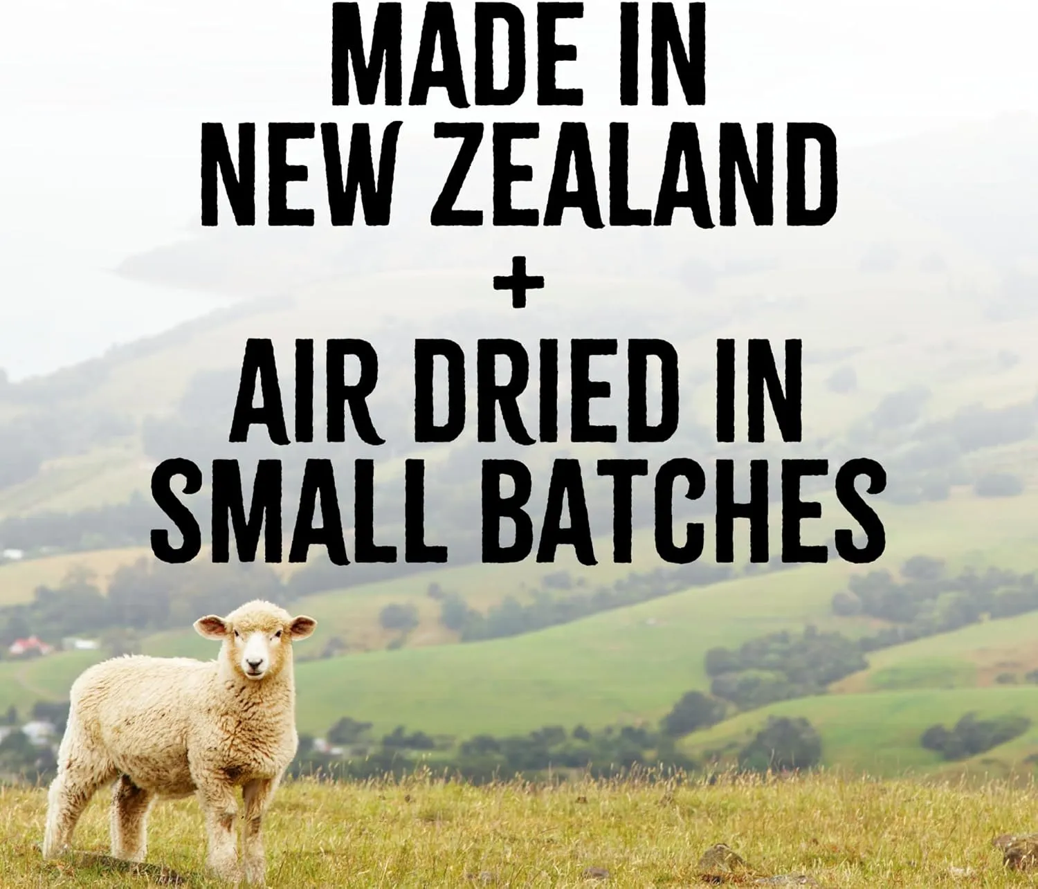 RawTernative Air Dried Dog Food, High Protein, Over 90% Real Lamb & Lamb Organs   New Zealand Green Mussels, Complete Meal or Topper, Grain Free, Gluten Free, Non GMO, (1 lb Bag)