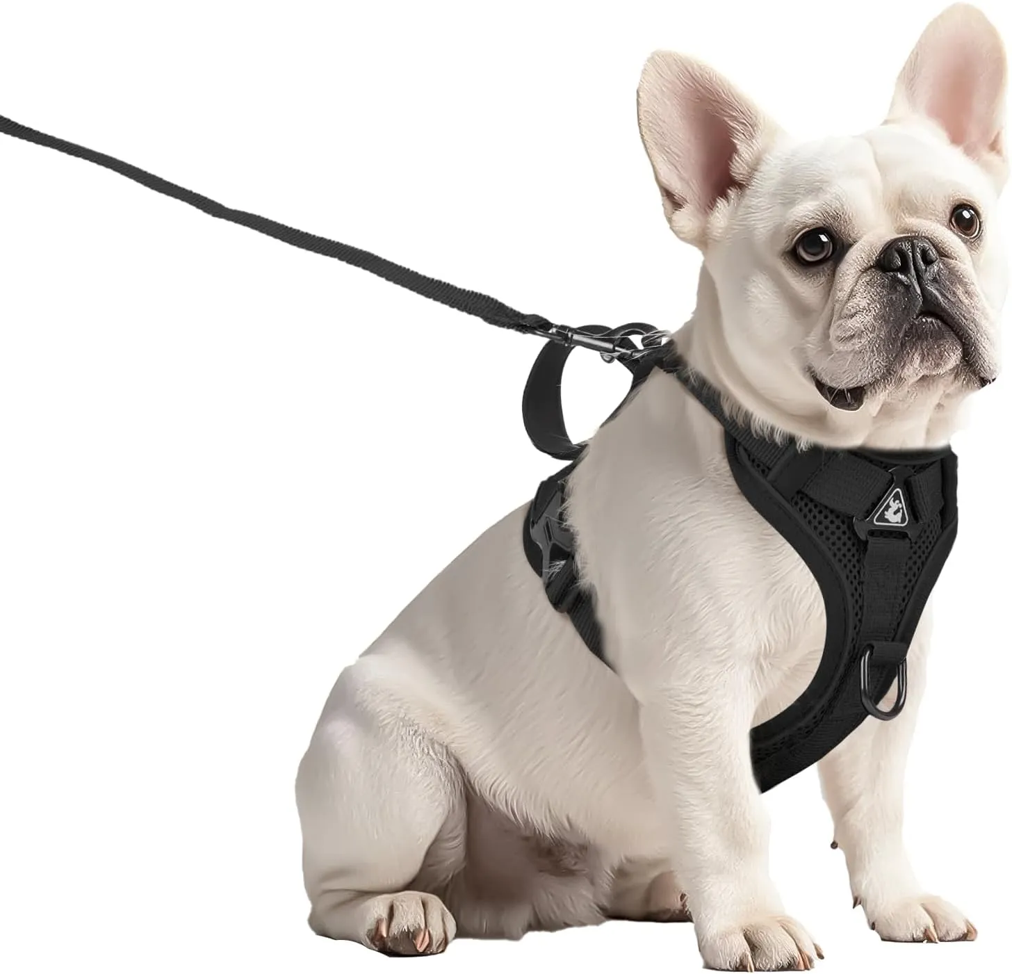 Small Dog Harness and Leash Set Adjustable Tactical Vest Breathable Puppy Harness with Handle for Walking Training Reflective XS Dog Harness