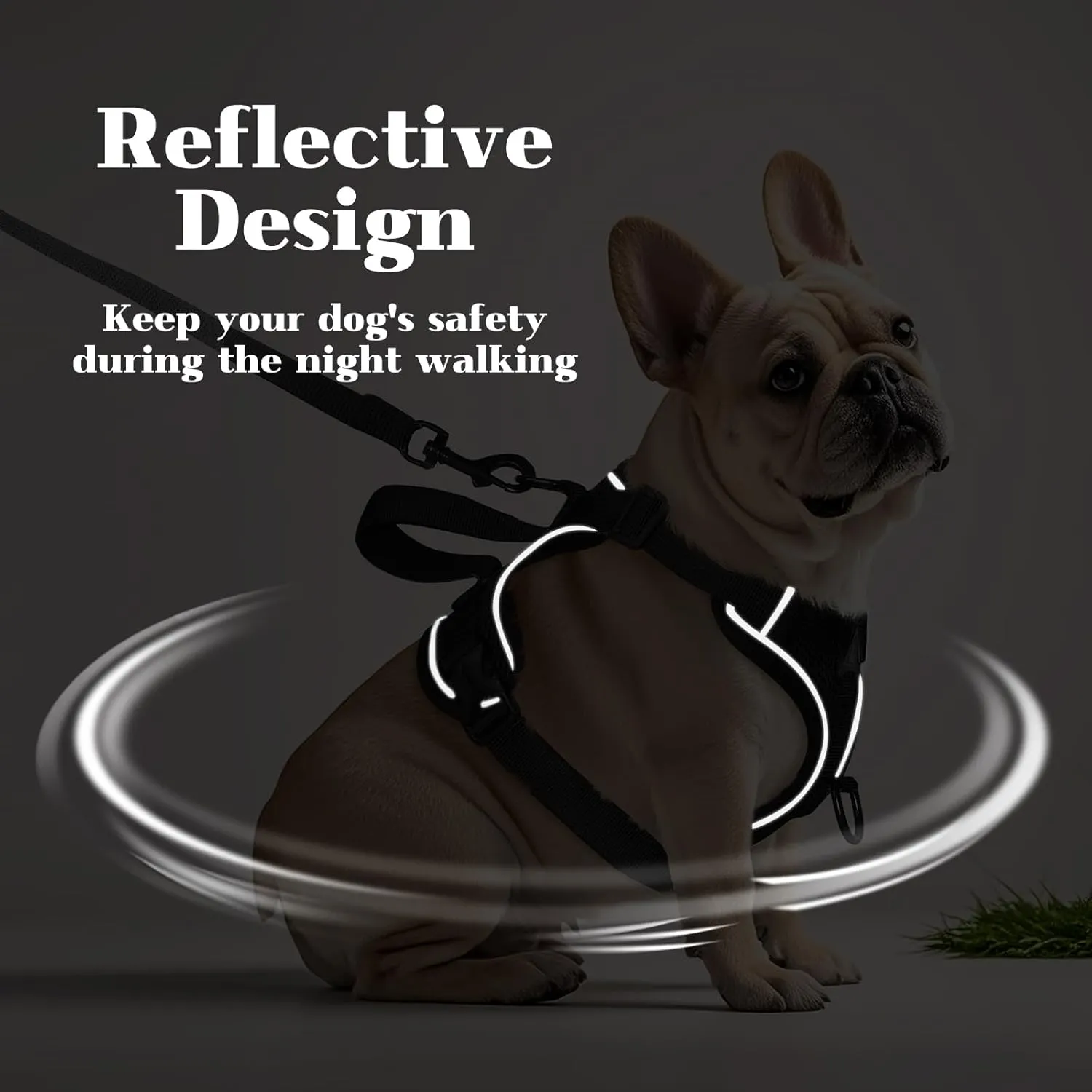 Small Dog Harness and Leash Set Adjustable Tactical Vest Breathable Puppy Harness with Handle for Walking Training Reflective XS Dog Harness