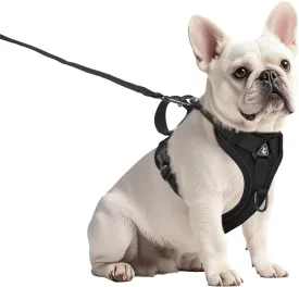 Small Dog Harness and Leash Set Adjustable Tactical Vest Breathable Puppy Harness with Handle for Walking Training Reflective XS Dog Harness