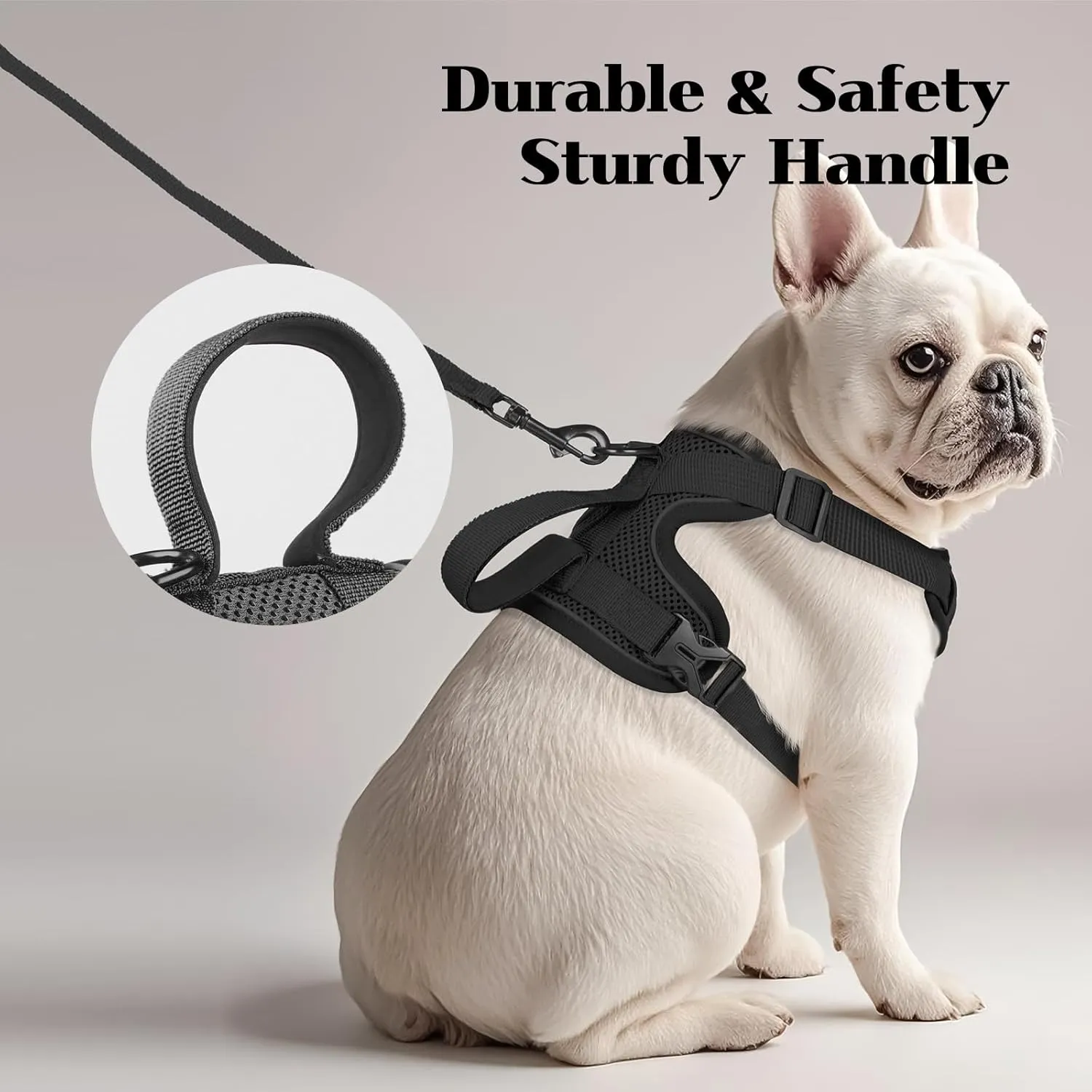 Small Dog Harness and Leash Set Adjustable Tactical Vest Breathable Puppy Harness with Handle for Walking Training Reflective XS Dog Harness
