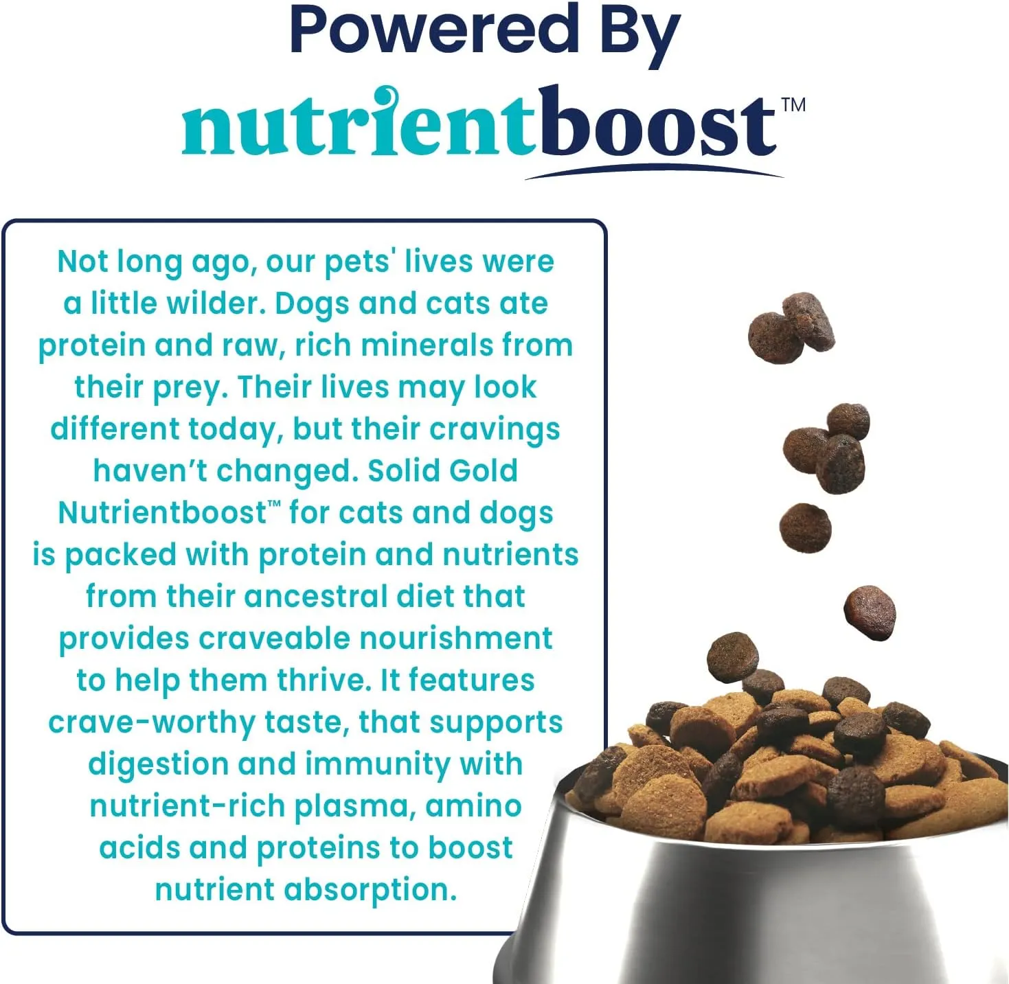 Solid Gold Dry Dog Food for Adult & Senior Dogs - Made with Real Lamb & Brown Rice - NutrientBoost Hund-N-Flocken Healthy Dog Food for Weight Management & Digestive Support - 4 LB Bag