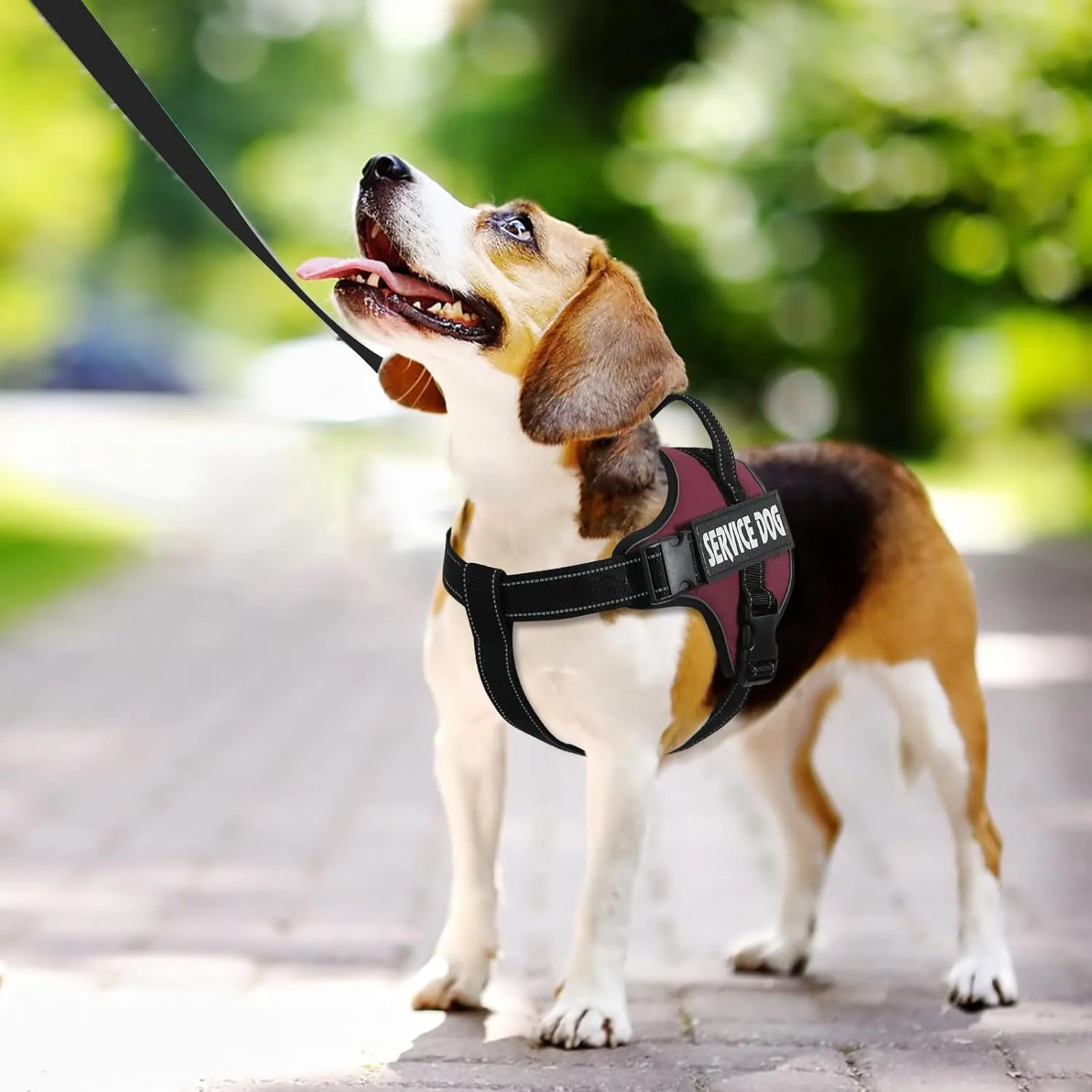 voopet Emotional Support Dog Harness, Professional Service Dog Vest Harness for Small Medium Large Dogs, Reflective Breathable and Adjustable No Pull/Choke ESA Essential Harness